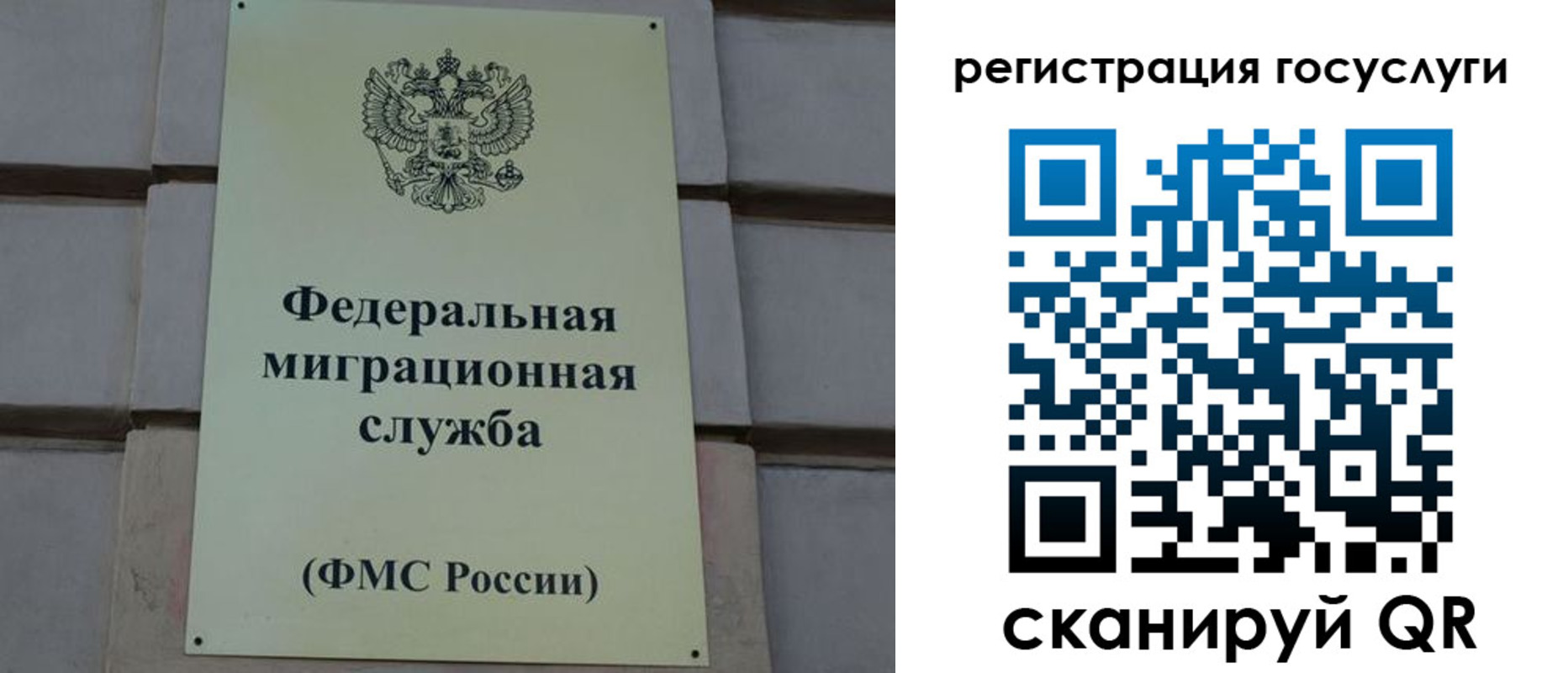 прописка поиск в Златоусте